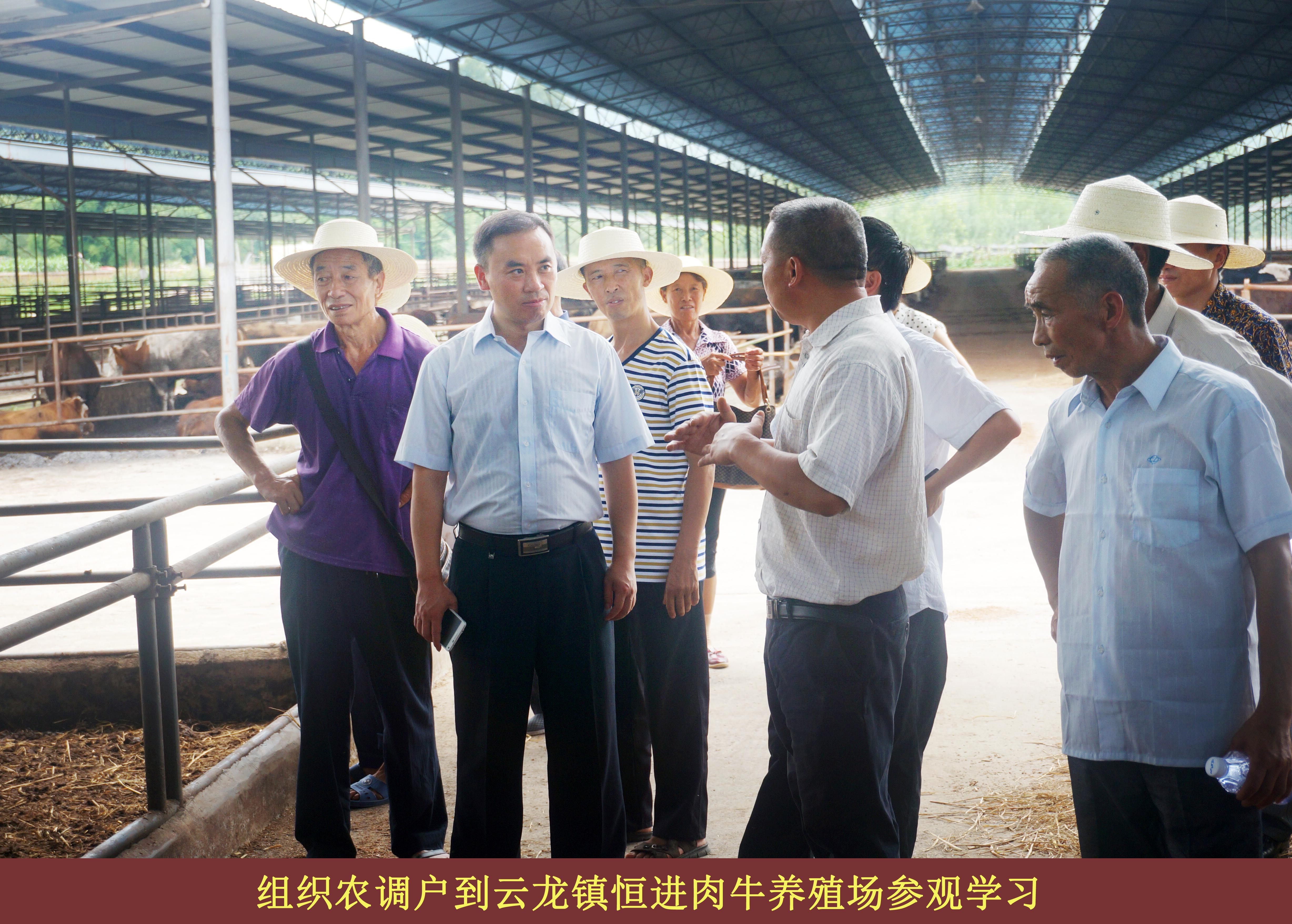 必赢(中国)官方网站