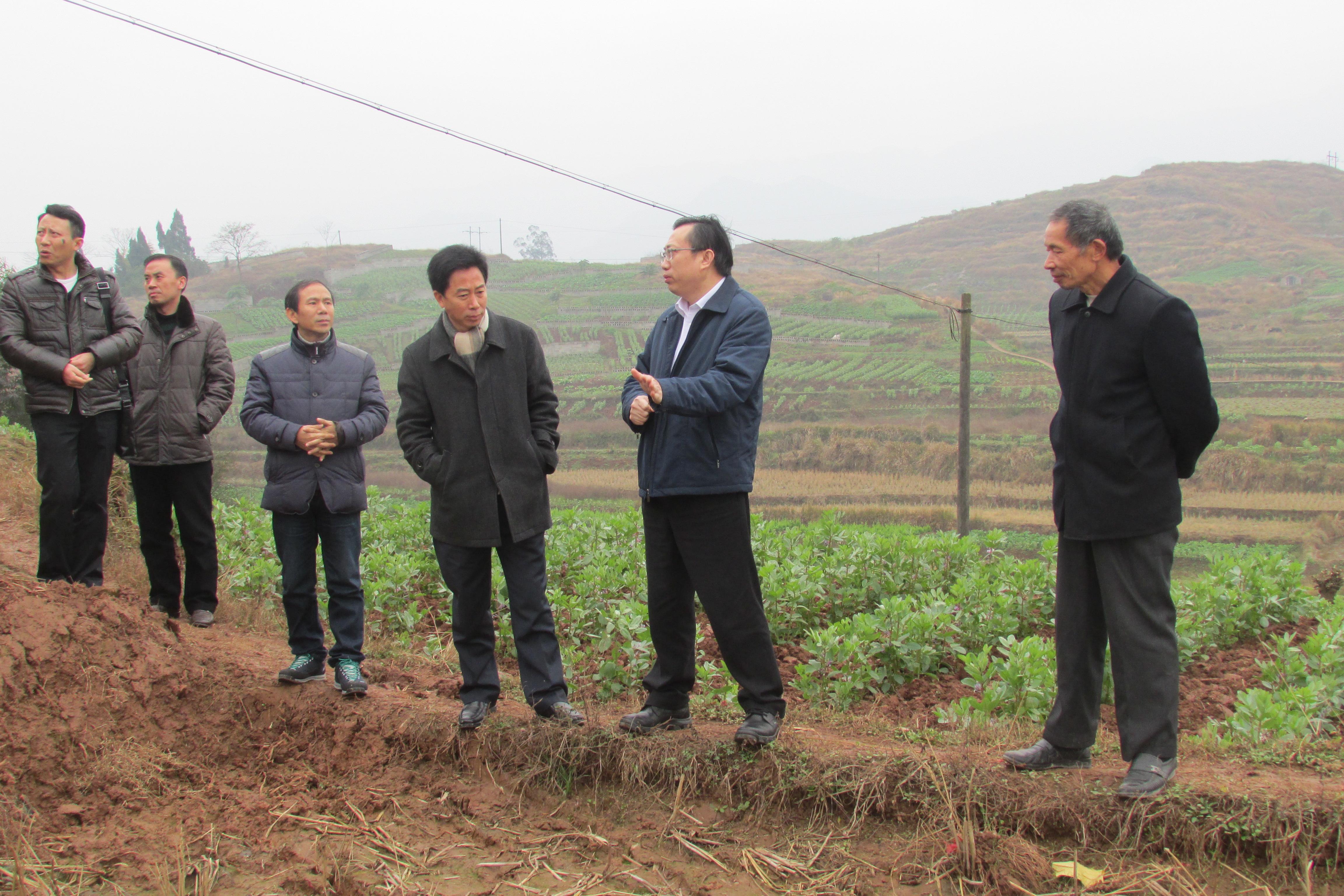 必赢(中国)官方网站