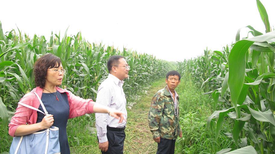 必赢(中国)官方网站