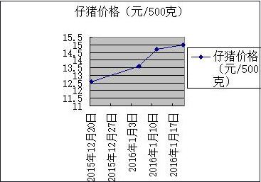 必赢(中国)官方网站