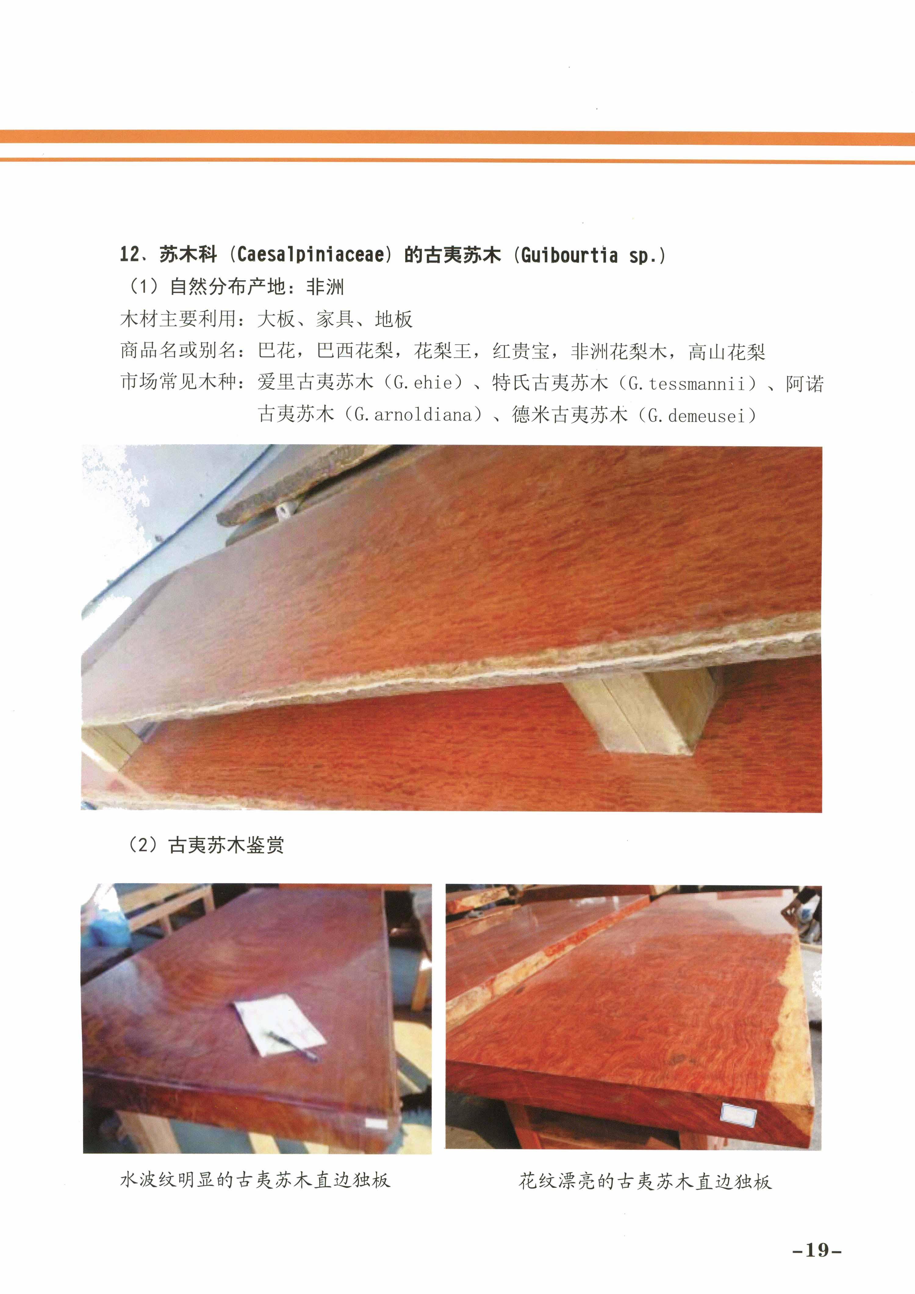 必赢(中国)官方网站