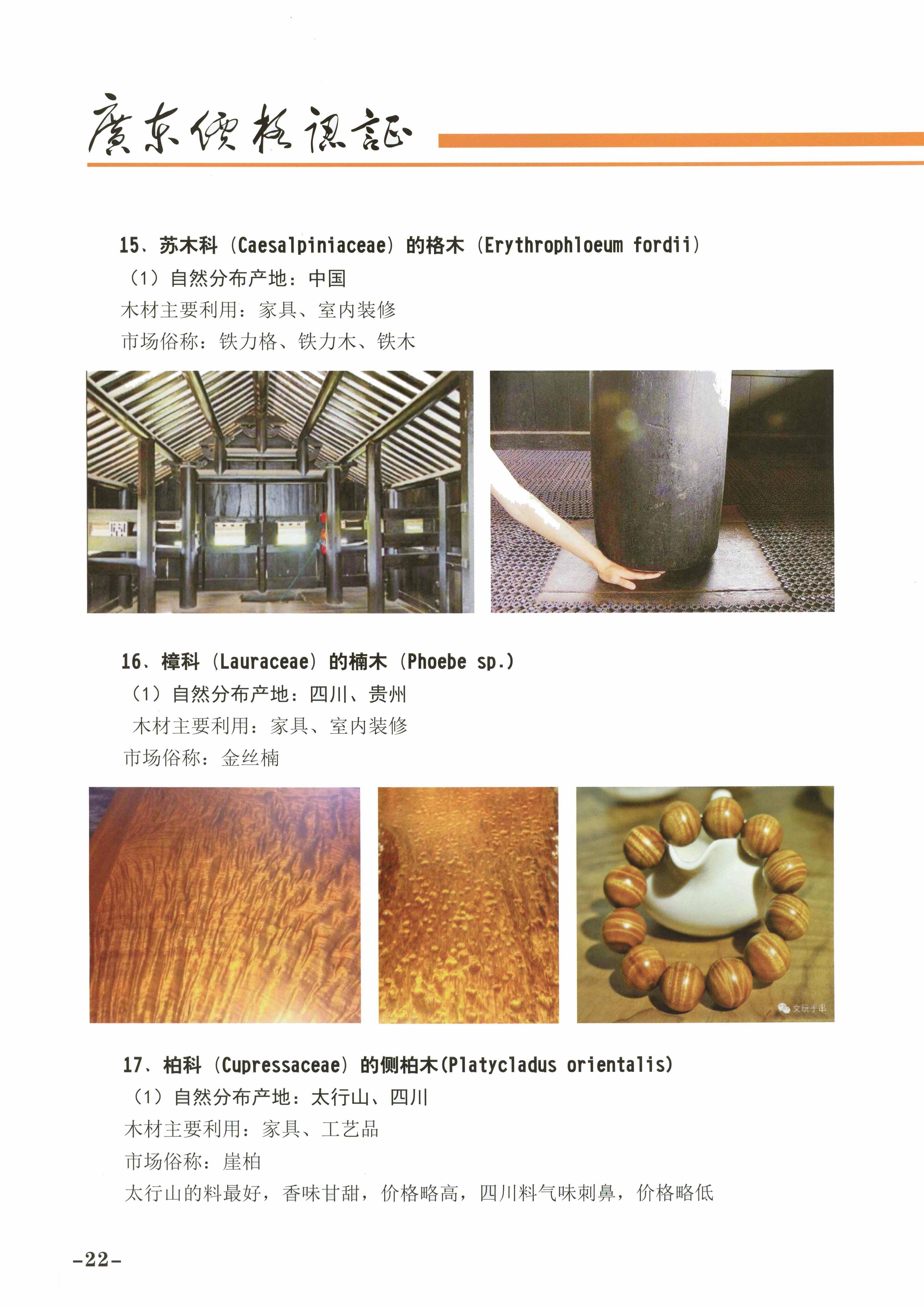 必赢(中国)官方网站