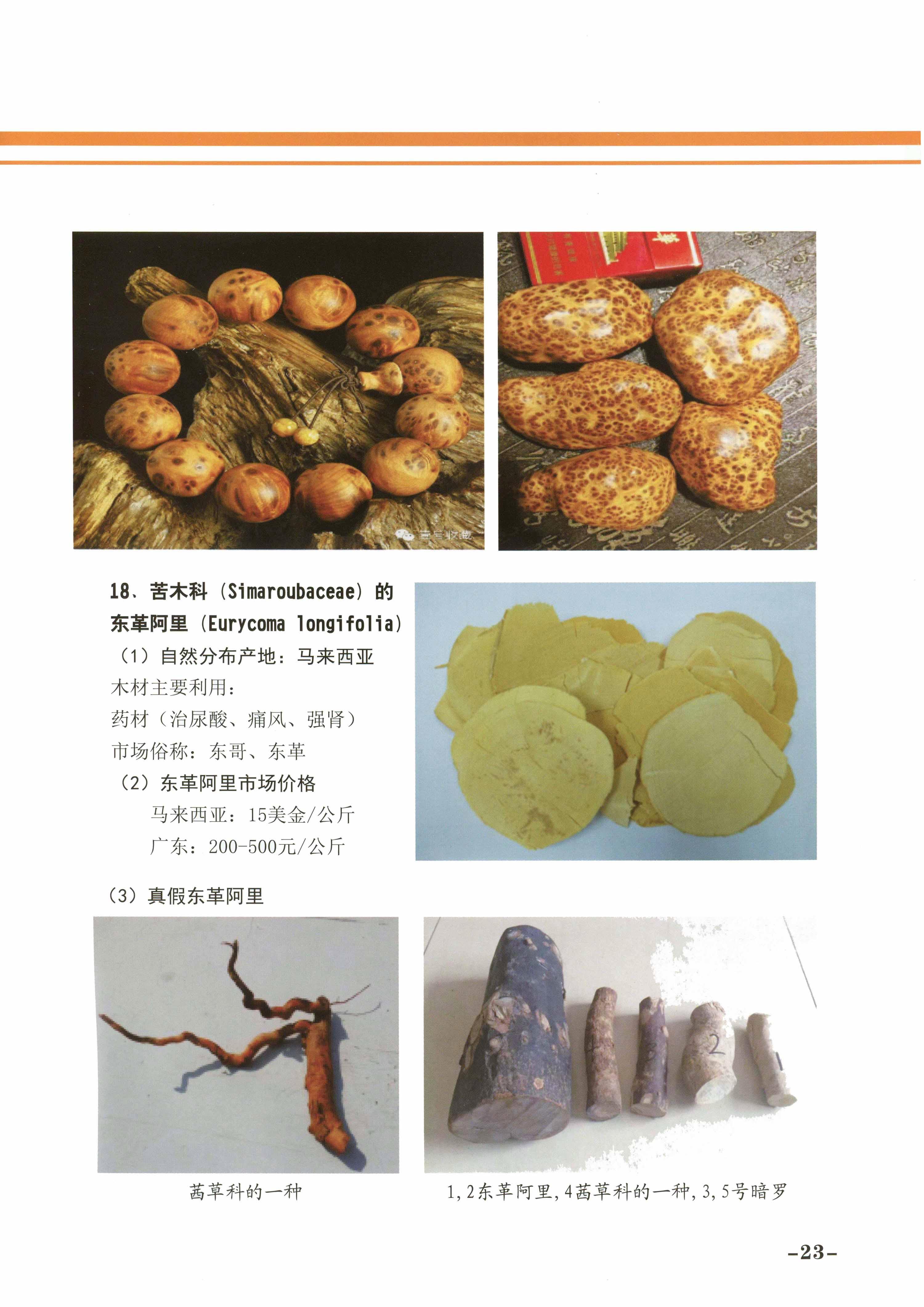 必赢(中国)官方网站