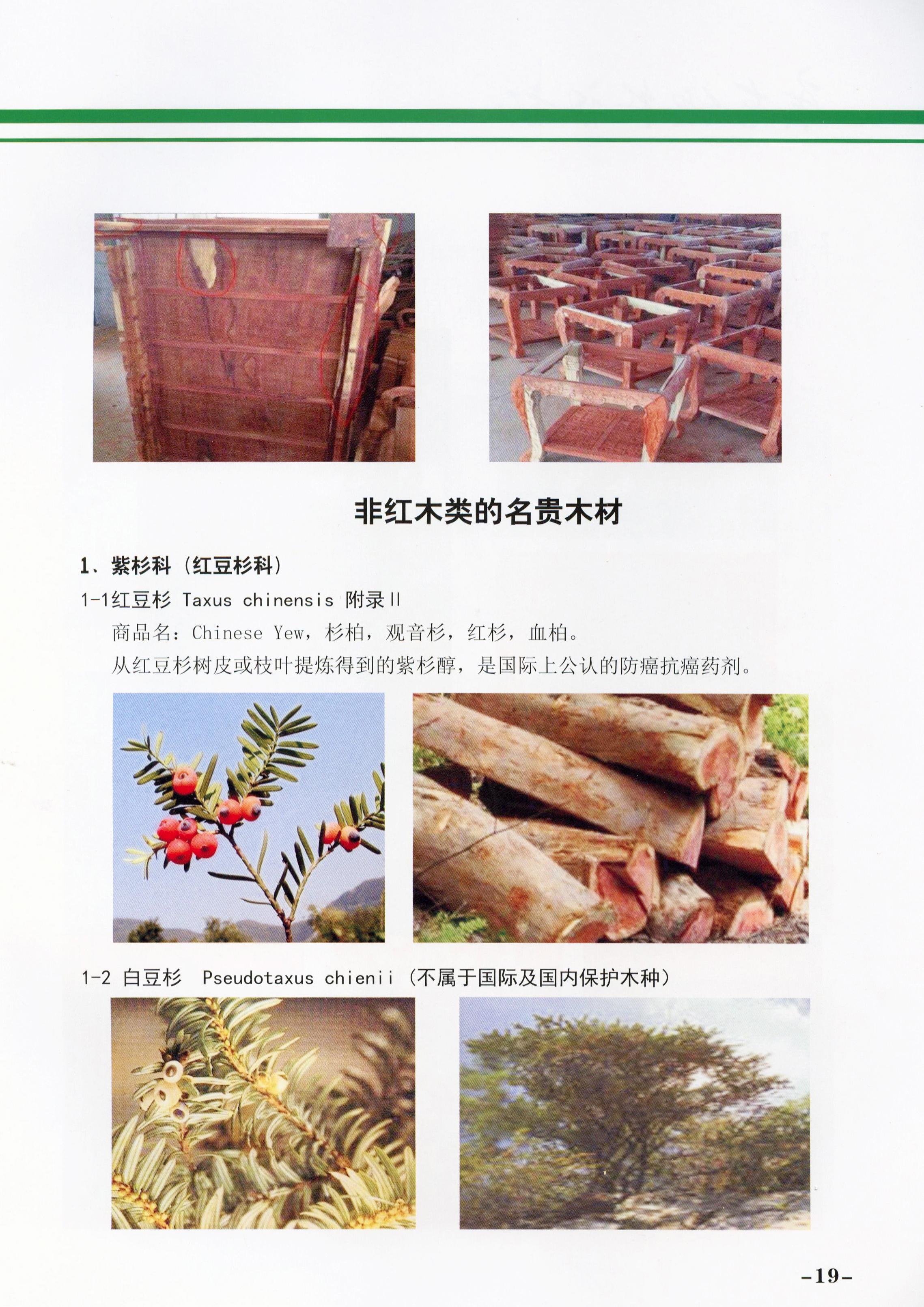 必赢(中国)官方网站