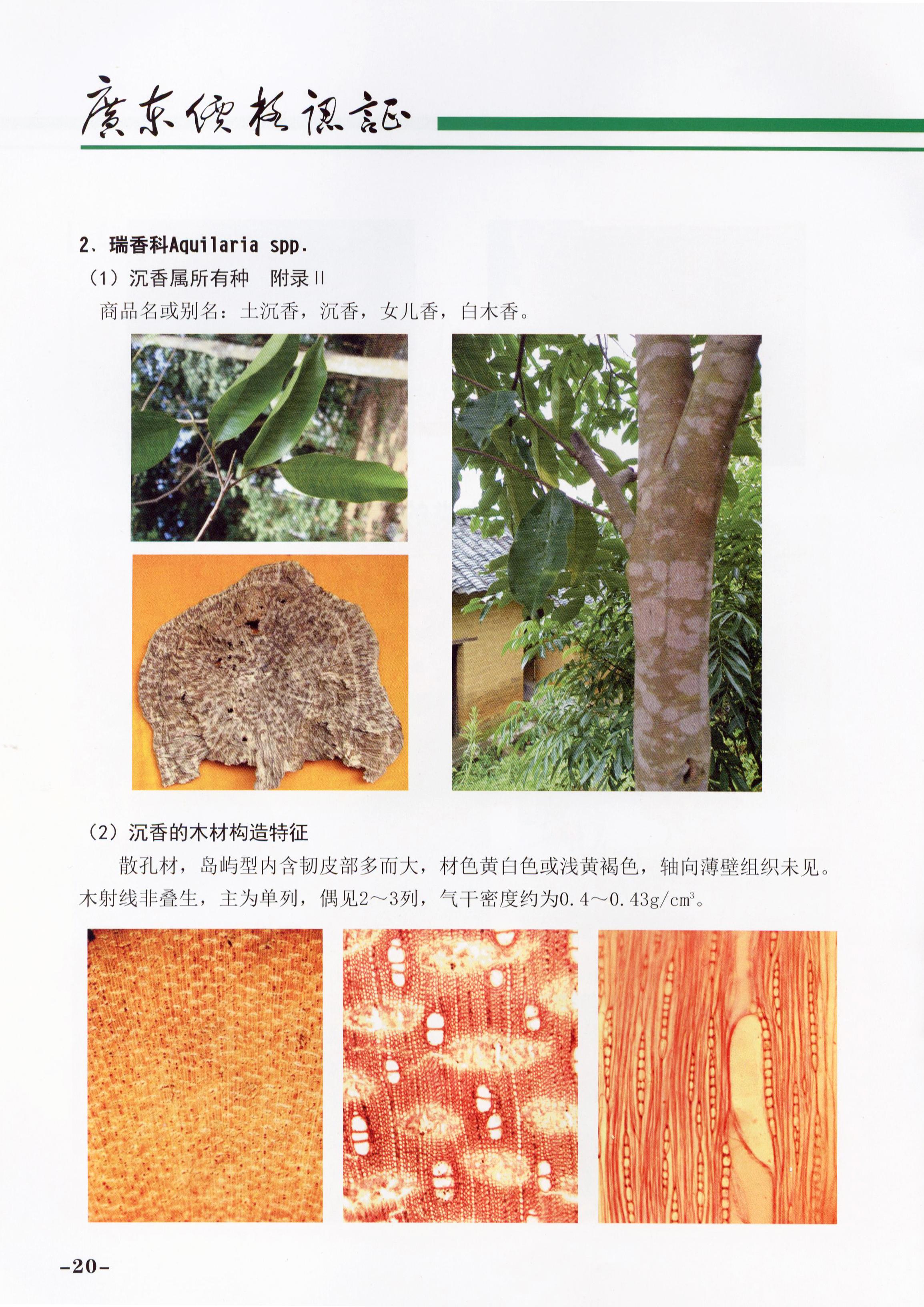 必赢(中国)官方网站