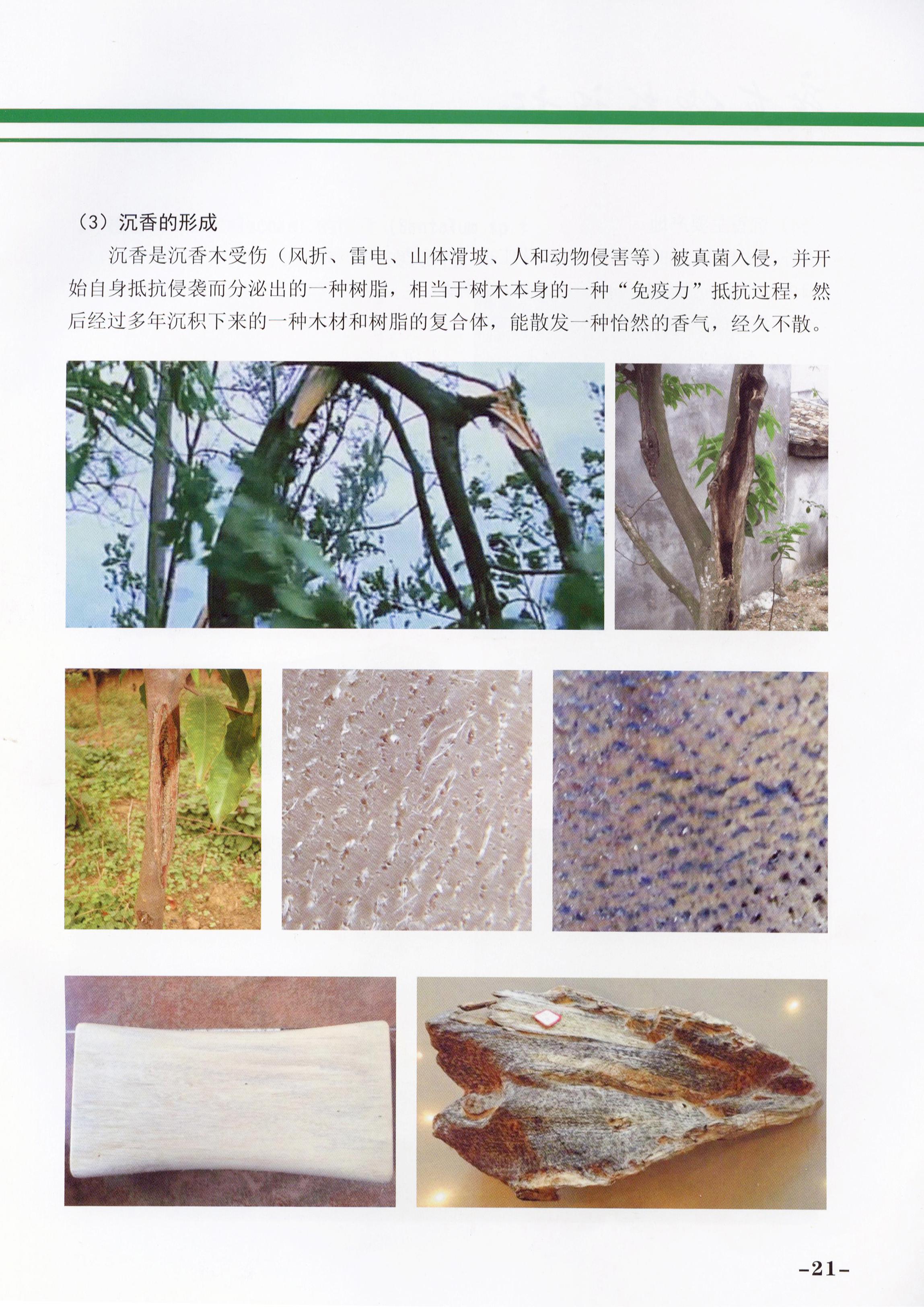 必赢(中国)官方网站