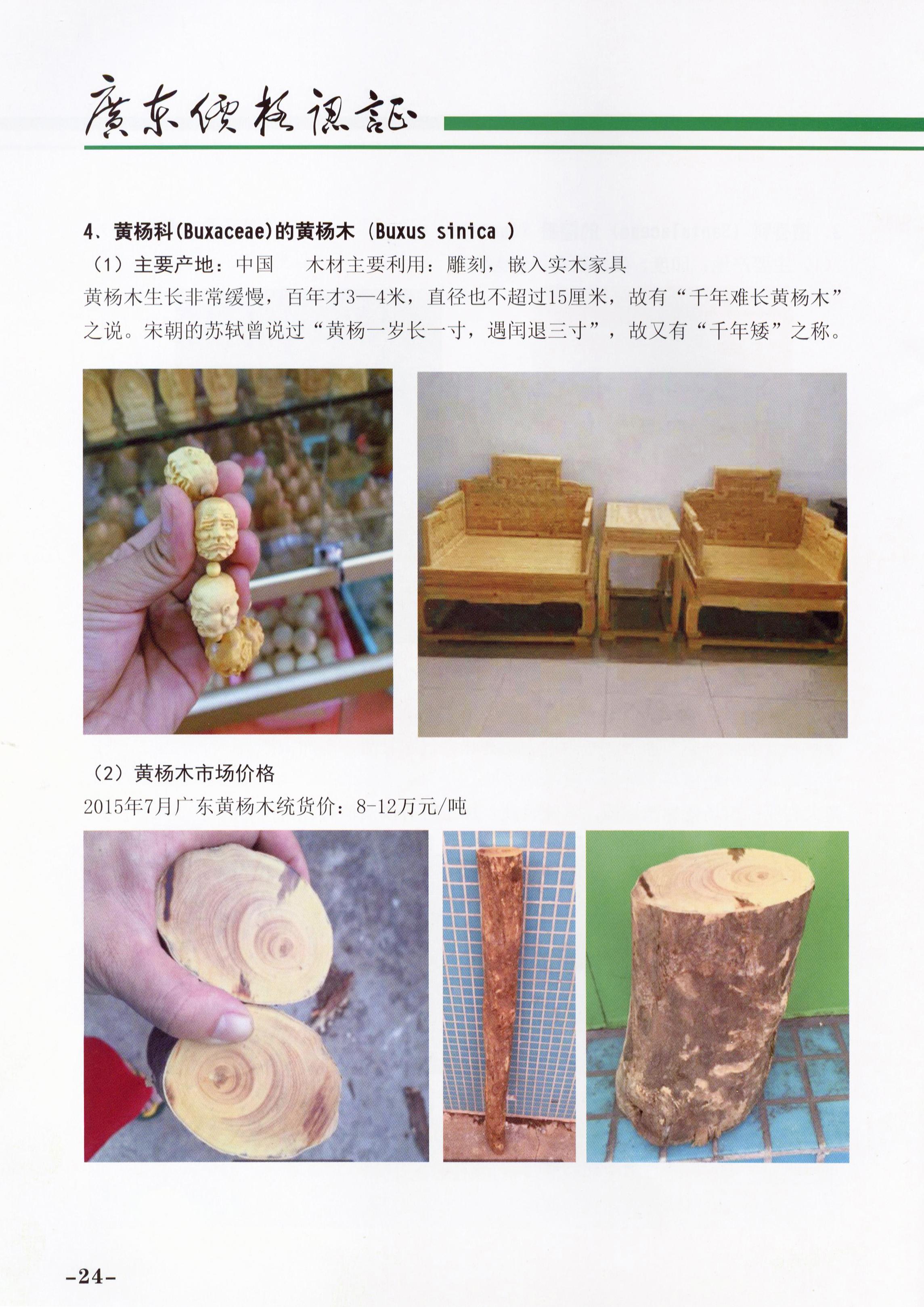 必赢(中国)官方网站