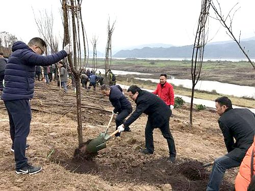 必赢(中国)官方网站