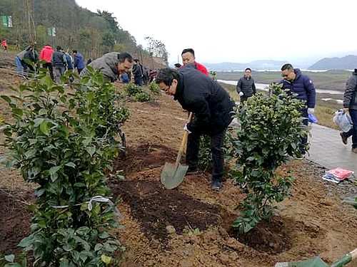 必赢(中国)官方网站