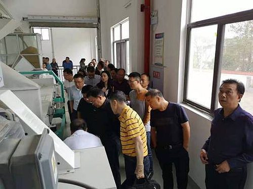 必赢(中国)官方网站