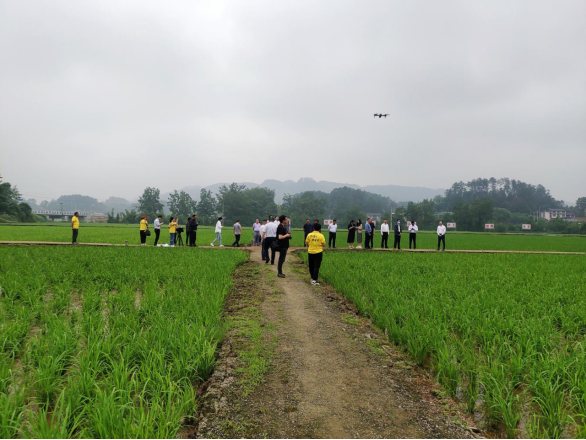 必赢(中国)官方网站