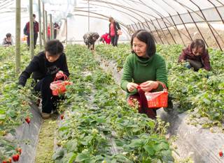 必赢(中国)官方网站