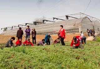 必赢(中国)官方网站