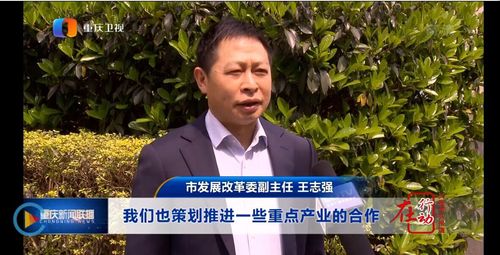 必赢(中国)官方网站