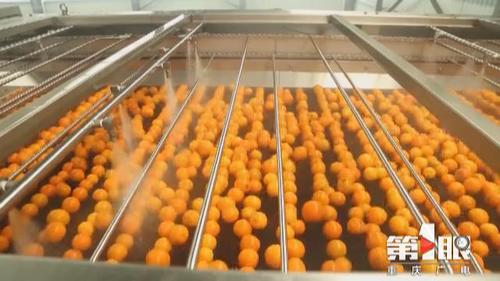 必赢(中国)官方网站