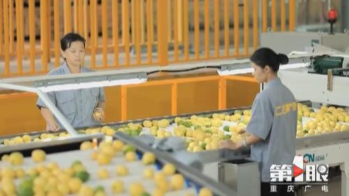 必赢(中国)官方网站