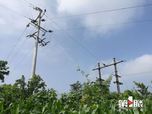 必赢(中国)官方网站