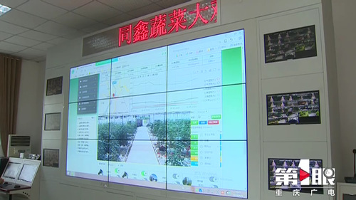 必赢(中国)官方网站