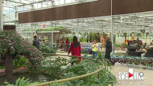 必赢(中国)官方网站