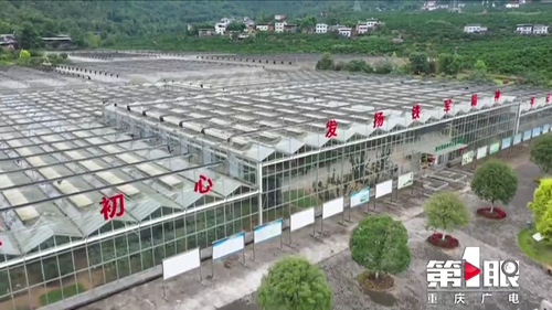 必赢(中国)官方网站