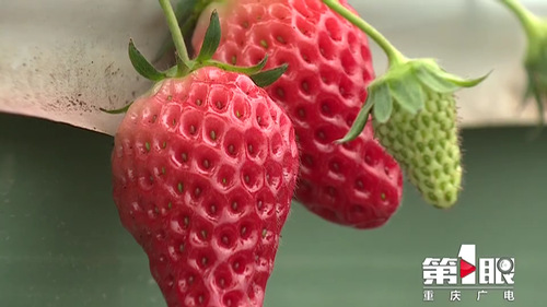 必赢(中国)官方网站