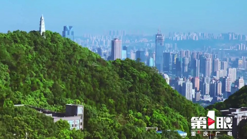 必赢(中国)官方网站