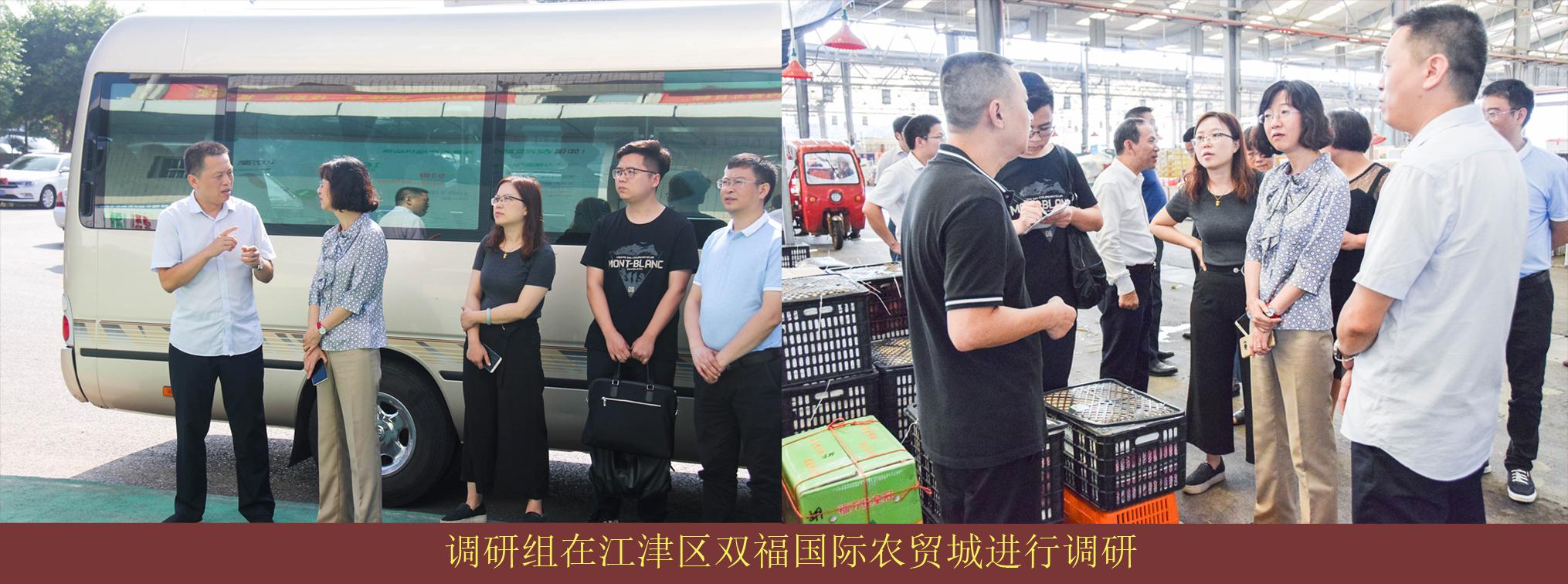 必赢(中国)官方网站